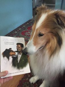 Collie dog sniffing "Four Feet to Fame" book.